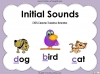 Initial Sounds - EYFS Teaching Resources (slide 1/32)